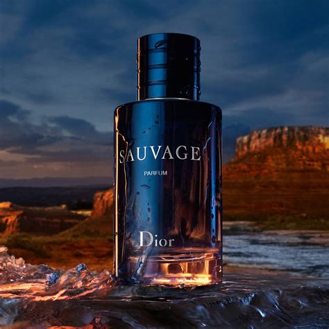 prix du parfum dior sauvage